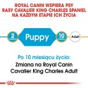 Royal Canin ROYAL CANIN BHN Cavalier King Charles Spaniel Puppy - sucha karma dla szczeniąt - 1,5 kg