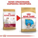 Royal Canin ROYAL CANIN BHN Cavalier King Charles Spaniel Puppy - sucha karma dla szczeniąt - 1,5 kg