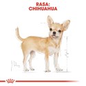 Royal Canin ROYAL CANIN BHN Chihuahua Adult - mokra karma dla psa dorosłego - 12x85g