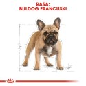 Royal Canin ROYAL CANIN BHN French Bulldog Adult - sucha karma dla psa dorosłego - 3kg