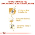 Royal Canin ROYAL CANIN BHN German Sh Ad - sucha karma dla psa dorosłego - 11 kg