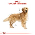 Royal Canin ROYAL CANIN BHN Golden Retriever - sucha karma dla psa dorosłego - 12 kg