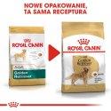 Royal Canin ROYAL CANIN BHN Golden Retriever - sucha karma dla psa dorosłego - 12 kg