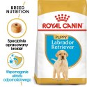 Royal Canin ROYAL CANIN BHN Labrador Puppy - sucha karma dla szczeniąt - 12kg