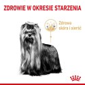 Royal Canin ROYAL CANIN BHN Yorkshire Ageing 8+ - sucha karma dla psa starszego - 3 kg