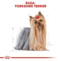 Royal Canin ROYAL CANIN BHN Yorkshire Terrier Adult - sucha karma dla psa dorosłego - 7,5 kg