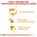 Royal Canin ROYAL CANIN BHN Yorkshire Terrier Adult - sucha karma dla psa dorosłego - 7,5 kg