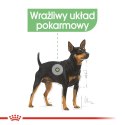 Royal Canin ROYAL CANIN CCN DIGESTIVE CARE LOAF - mokra karma dla psa dorosłego - 12x85g