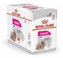 Royal Canin ROYAL CANIN CCN EXIGENT LOAF - mokra karma dla psa dorosłego - 12x85g