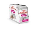 Royal Canin ROYAL CANIN CCN EXIGENT LOAF - mokra karma dla psa dorosłego - 12x85g