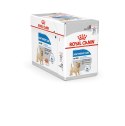 Royal Canin ROYAL CANIN CCN LIGHT WEIGHT CARE LOAF - mokra karma dla psa dorosłego - 12x85g