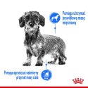 Royal Canin ROYAL CANIN CCN LIGHT WEIGHT CARE LOAF - mokra karma dla psa dorosłego - 12x85g