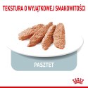 Royal Canin ROYAL CANIN CCN LIGHT WEIGHT CARE LOAF - mokra karma dla psa dorosłego - 12x85g