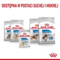 Royal Canin ROYAL CANIN CCN LIGHT WEIGHT CARE LOAF - mokra karma dla psa dorosłego - 12x85g