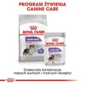 Royal Canin ROYAL CANIN CCN Medium Sterilised Adult - sucha karma dla psa - 12 kg