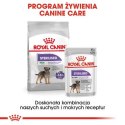 Royal Canin ROYAL CANIN CCN Sterilised Loaf - mokra karma dla psa dorosłego - 12x85 g