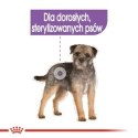 Royal Canin ROYAL CANIN CCN Sterilised Loaf - mokra karma dla psa dorosłego - 12x85 g