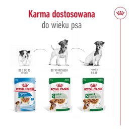 Royal Canin ROYAL CANIN Mini Ageing 12+ - mokra karma dla psa - 12x 85 g