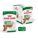 Royal Canin ROYAL CANIN Mini Ageing 12+ - mokra karma dla psa - 12x 85 g