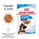 Royal Canin ROYAL CANIN SHN Maxi Puppy w sosie - mokra karma dla szczeniąt - 10x140 g