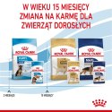 Royal Canin ROYAL CANIN SHN Maxi Puppy w sosie - mokra karma dla szczeniąt - 10x140 g