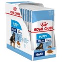 Royal Canin ROYAL CANIN SHN Maxi Puppy w sosie - mokra karma dla szczeniąt - 10x140 g