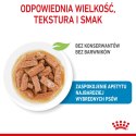 Royal Canin ROYAL CANIN SHN Maxi Puppy w sosie - mokra karma dla szczeniąt - 10x140 g