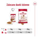 Royal Canin ROYAL CANIN SHN Medium Adult w sosie - mokra karma dla psa dorosłego - 10x140 g