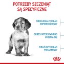 Royal Canin ROYAL CANIN SHN Medium Puppy - sucha karma dla szczeniąt - 4kg