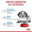 Royal Canin ROYAL CANIN SHN Medium Puppy - sucha karma dla szczeniąt - 4kg