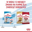 Royal Canin ROYAL CANIN SHN Medium Puppy - sucha karma dla szczeniąt - 4kg