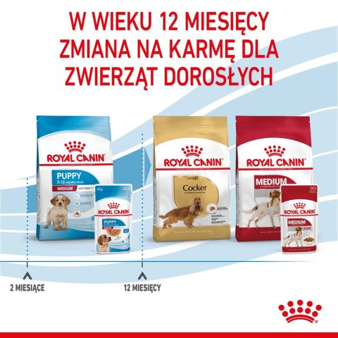 Royal Canin ROYAL CANIN SHN Medium Puppy w sosie - mokra karma dla szczeniąt - 10X140g Royal Canin ROYAL CANIN SHN Medium Puppy w sosie - mokra karma dla szczeniąt - 10X140g