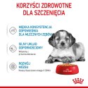 Royal Canin ROYAL CANIN SHN Medium Puppy w sosie - mokra karma dla szczeniąt - 10X140g