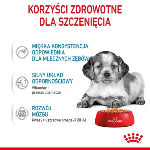 Royal Canin ROYAL CANIN SHN Medium Puppy w sosie - mokra karma dla szczeniąt - 10X140g Royal Canin ROYAL CANIN SHN Medium Puppy w sosie - mokra karma dla szczeniąt - 10X140g