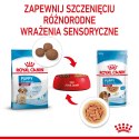 Royal Canin ROYAL CANIN SHN Medium Puppy w sosie - mokra karma dla szczeniąt - 10X140g