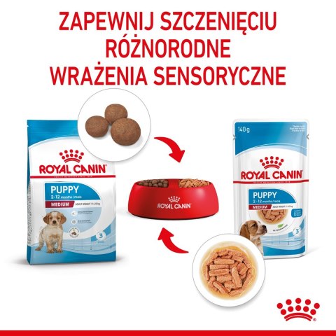 Royal Canin ROYAL CANIN SHN Medium Puppy w sosie - mokra karma dla szczeniąt - 10X140g Royal Canin ROYAL CANIN SHN Medium Puppy w sosie - mokra karma dla szczeniąt - 10X140g