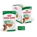 Royal Canin ROYAL CANIN SHN Mini Adult w sosie - mokra karma dla psa dorosłego - 12X85g