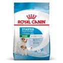 Royal Canin ROYAL CANIN SHN Mini Starter Mother & Babydog - sucha karma dla psa - 4 kg