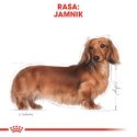 Royal Canin Royal Canin BHN Dachshund Adult - sucha karma dla psa dorosłego - 1,5kg