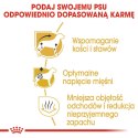 Royal Canin Royal Canin BHN Dachshund Adult - sucha karma dla psa dorosłego - 1,5kg