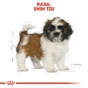 Royal Canin Royal Canin BHN Shih Tzu Puppy - sucha karma dla szczeniąt - 1,5kg