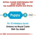 Royal Canin Royal Canin BHN Shih Tzu Puppy - sucha karma dla szczeniąt - 1,5kg