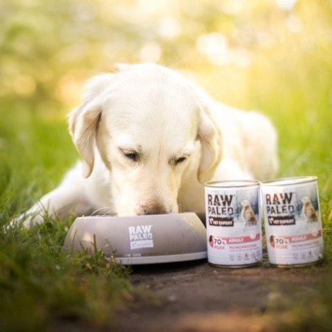 VetExpert VetExpert Raw Paleo Wieprzowina Adult Can 400g VetExpert VetExpert Raw Paleo Wieprzowina Adult Can 400g