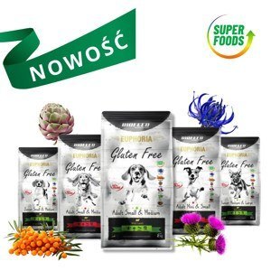 BIOFEED BIOFEED Euphoria G-F SMALL&MID wołowina 2kg BIOFEED BIOFEED Euphoria G-F SMALL&MID wołowina 2kg