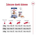 Royal Canin Karma Royal Canin Dog Food Maxi Ageing (15 kg )