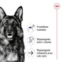 Royal Canin Karma Royal Canin Dog Food Maxi Ageing (15 kg )