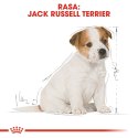 Royal Canin Karma Royal Canin SHN Breed Jack Russ Jun (3 kg )