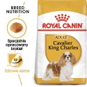 Royal Canin ROYAL CANIN BHN Cavalier King Charles Spaniel Adult - sucha karma dla psa dorosłego - 1,5kg