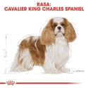 Royal Canin ROYAL CANIN BHN Cavalier King Charles Spaniel Adult - sucha karma dla psa dorosłego - 1,5kg