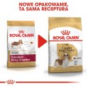 Royal Canin ROYAL CANIN BHN Cavalier King Charles Spaniel Adult - sucha karma dla psa dorosłego - 1,5kg